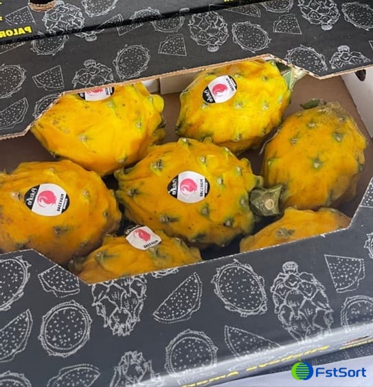 images/1708415484372máquina clasificadora de fruta del dragón.jpg